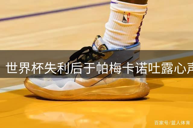 世界杯失利后于帕梅卡诺吐露心声：感激教练信任 为球队感到自豪
