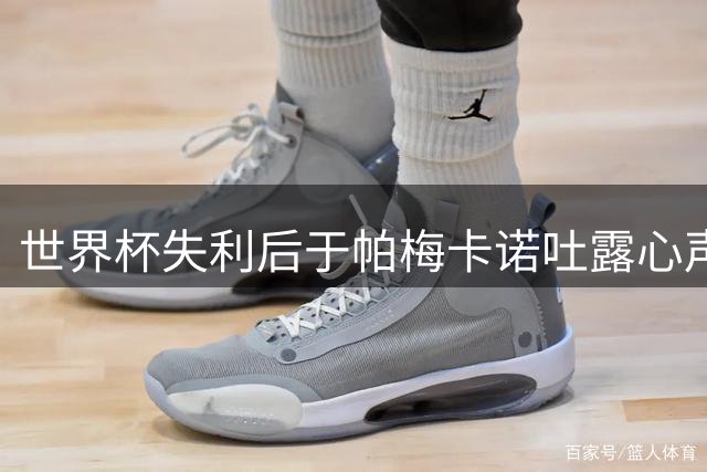 世界杯失利后于帕梅卡诺吐露心声：感激教练信任 为球队感到自豪